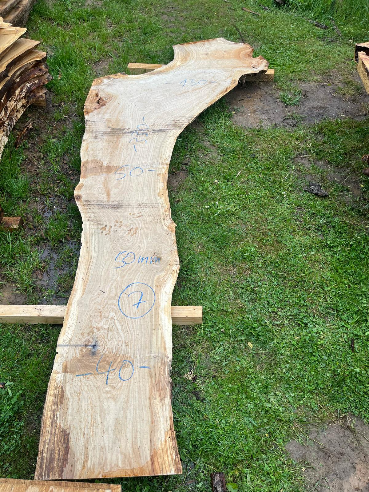 Bohle mit natürlicher Baumkante